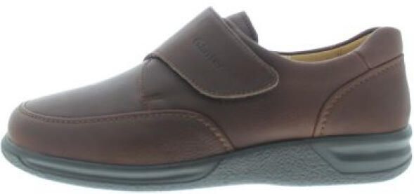 Ganter Kurt k