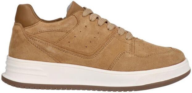 Gattino G1021-242