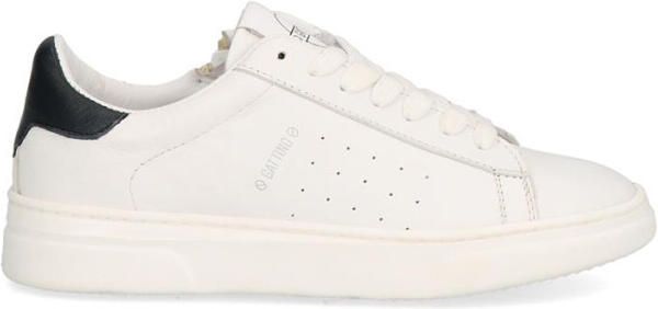 Gattino G1172