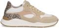 Gattino G1355 - Beige
