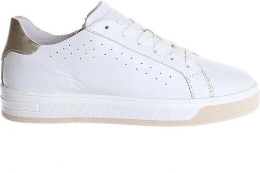 Gattino G1574