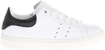 Gattino G1782