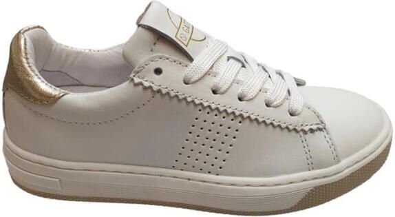 Gattino G6097