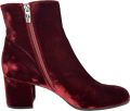 Gianvito Rossi Pre-owned Gianvito Rossi Margaux enkellaarsjes in bordeauxrood fluweel - Roodbruin