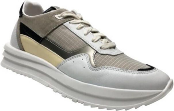 Giga G4081