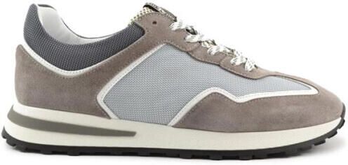 Giorgio 5788403 light-boy