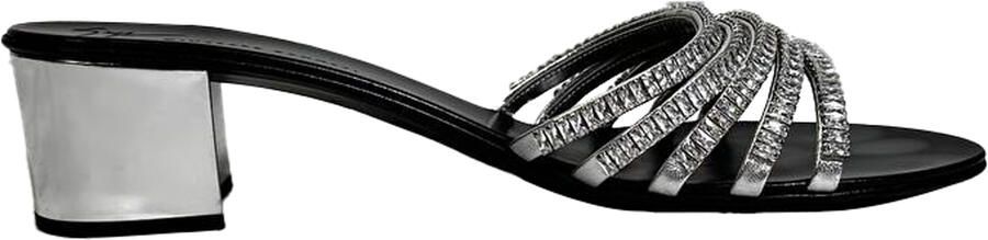 Giuseppe Zanotti Pre-owned Giuseppe Zanotti Rhinestone-bedeckte Sleehakken in Zilveren Leer