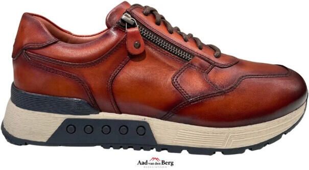 Greve Herenschoenen sneakers