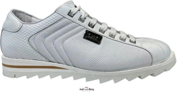Harris Herenschoenen sneakers