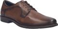Josef Seibel Heren Lage Schoen Desmond 01 in bruin - Bruin