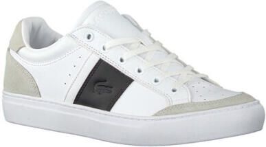 Lacoste Courtline 319