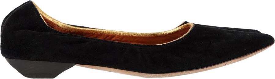 Lanvin Pre-owned Lanvin Puntige Ballerina's in Zwart Suède