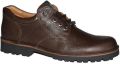 Livingstone 4896 wijdte h1 2 - Bruin