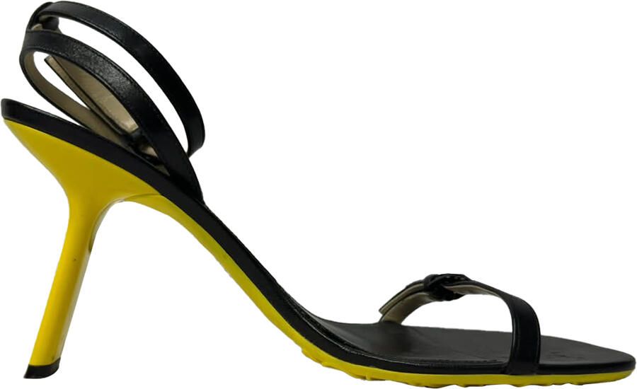 Loewe Pre-owned Loewe Petal Enkellaarsjes met Enkelband in Zwart Geitenleer