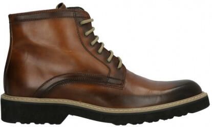 Lorenzi 2838