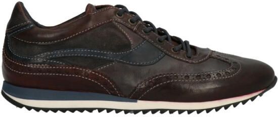 Lorenzi 5876