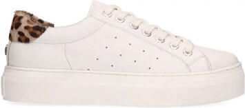 Maruti Footwear ted 66.1427.02