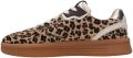 Maruti Yale hairon leopard - Bruin