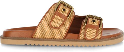 Mexx Reilly penny