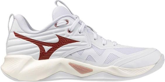 Mizuno wave momentum pro indoor schoenen dames