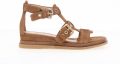 MJUS N14006 301 - Bruin