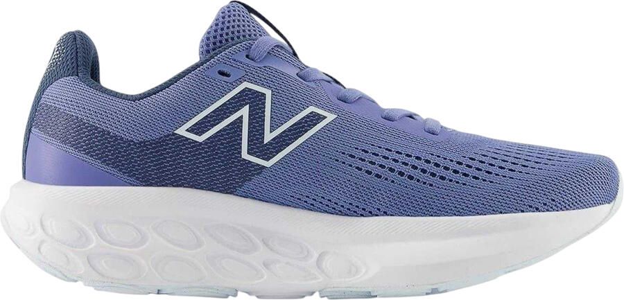 New Balance 520 V9 hardloopschoenen voor dames (Blauw Wit)