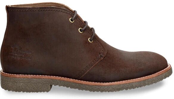 Panama Jack Gael c37 marron brown nette schoenen heren