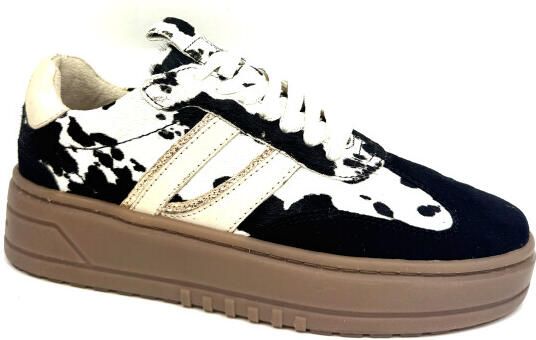 Posh by Poelman Lpanemone-49poe5 anemone