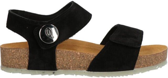 Q-Fit 4056