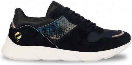 Q1905 Sneaker hillegom donker