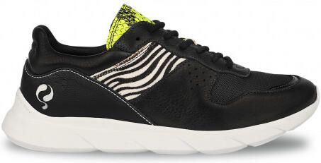 Q1905 Sneaker hillegom zwart multi