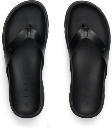 Reef Slippers vista luxe vivianahh cj7365
