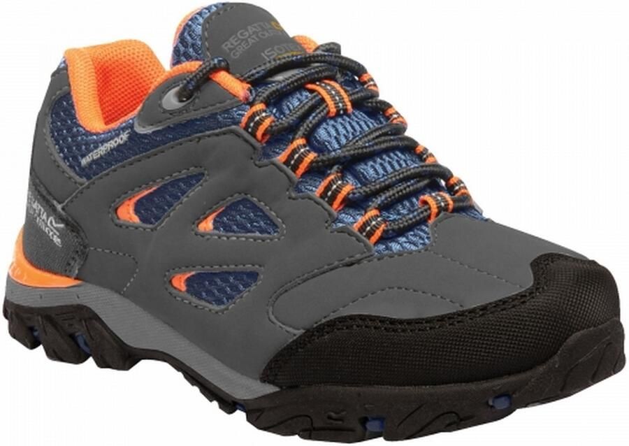 Regatta Kinderen Kinderen Holcombe Lage Junior Wandelschoenen (Bruyèrehout Blaas Oranje)