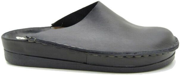 Rembrandt 466 260- leer