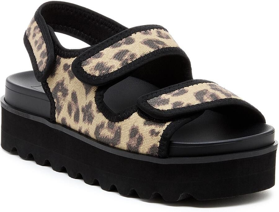 Rocket Dog Balmy Dexter Textiele Dames Sandalen In Het Bruin Zwart
