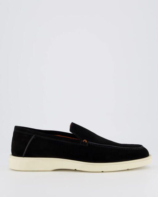 Santoni Heren botanist