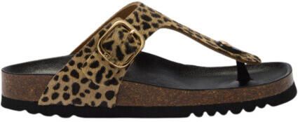 Scholl Anais slippers f00629