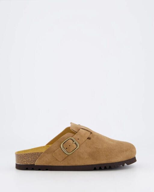 Scholl Dames fae