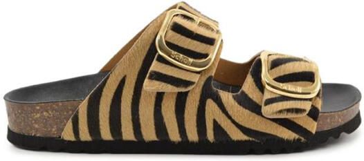 Scholl F30067 noelle pony