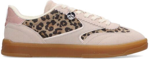Scotch & Soda Nixie