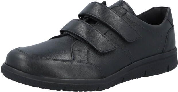 Solidus 64500-00091 hardy