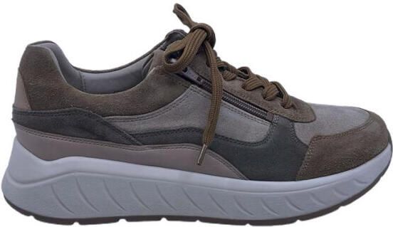 Solidus 71122 ken 122