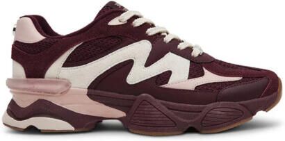 Steve Madden Speeder sneakers