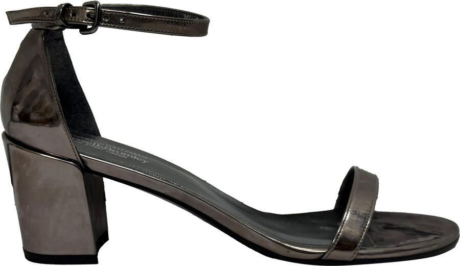 Stuart Weitzman Pre-owned Stuart Weitzman MetallicSimple Chorus Enkelband Sandalen in Zilverkleurig Leer