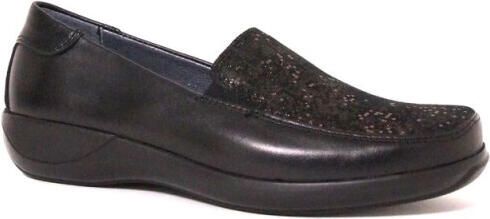 Stuppy 1953