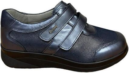 Stuppy 6054