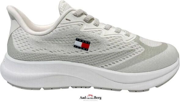 Tommy Hilfiger Herenschoenen sneakers