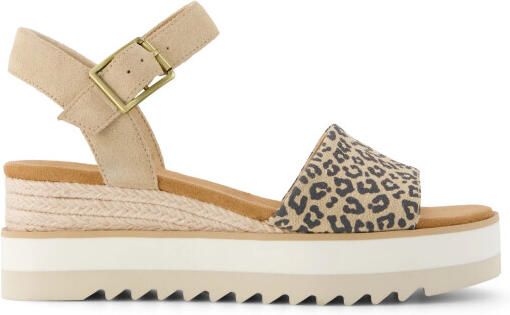 TOMS 10023086 diana oatmeal leo spots