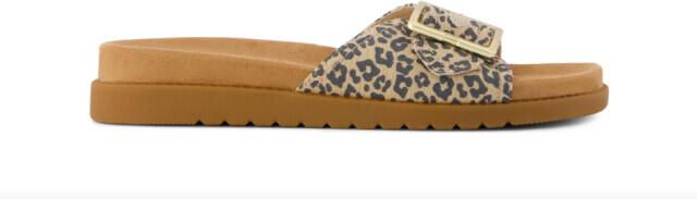TOMS 10023094 marin slide leopard