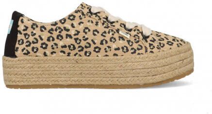 TOMS Cheetah cassiah 10016308